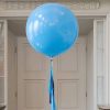 Большой голубой воздушный шар. Компания onballoon.ru