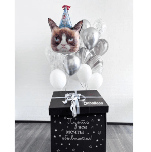 Коробка-сюрприз с шарами “Шар кот и агаты”