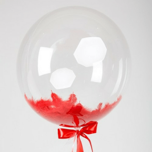 Шар прозрачный (61 см.) Сфера Bubble, с красными перьями, 1 шт.