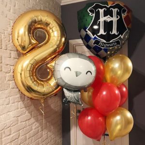 Набор шаров “Гарри Поттер” с цифрой