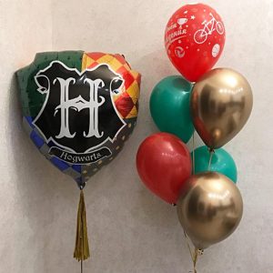 Набор шаров “Щит Гарри Поттера”