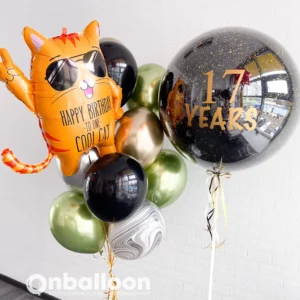 Набор шаров с котом на 17 лет