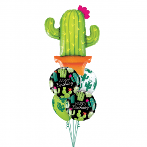 Фонтан шаров “Любимый кактус”