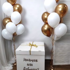Коробка-сюрприз с шарами для определения пола ребенка №11