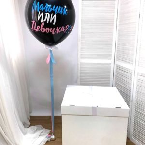 Коробка-сюрприз с шарами для определения пола ребенка №13